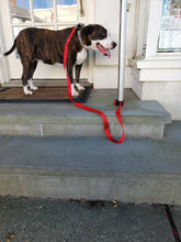 Load image into Gallery viewer, Cafe Leash
